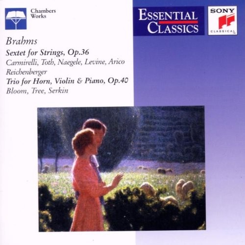 Brahms sextet 2 for - brahms:, no.