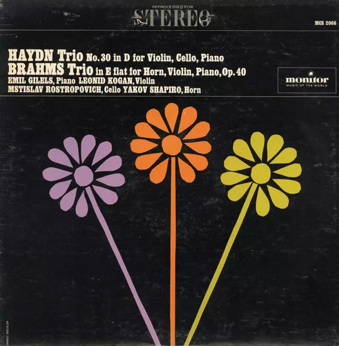 Trio d for violin - no.30,